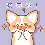 柯基小飞           