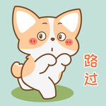 柯基小飞           