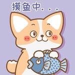 柯基小飞           