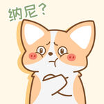 柯基小飞           