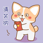 柯基小飞           
