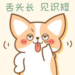柯基小飞           