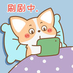 柯基小飞           