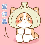 柯基小飞           