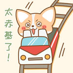 柯基小飞           