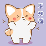 柯基小飞           