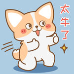 柯基小飞           