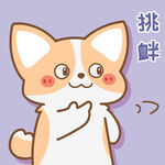 柯基小飞           