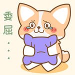 柯基小飞           