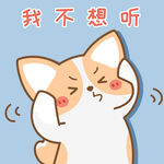 柯基小飞           
