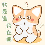 柯基小飞           
