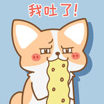 柯基小飞           