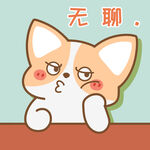 柯基小飞           