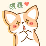 柯基小飞           