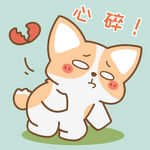 柯基小飞           