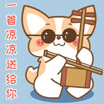 柯基小飞           