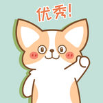 柯基小飞           
