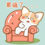 柯基小飞           