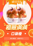 口袋橙子橙意满满