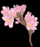 手绘粉色桃花免扣素材图片