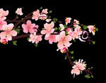   手绘粉色桃花免扣素材图片