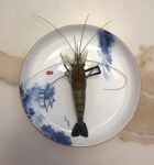 虾