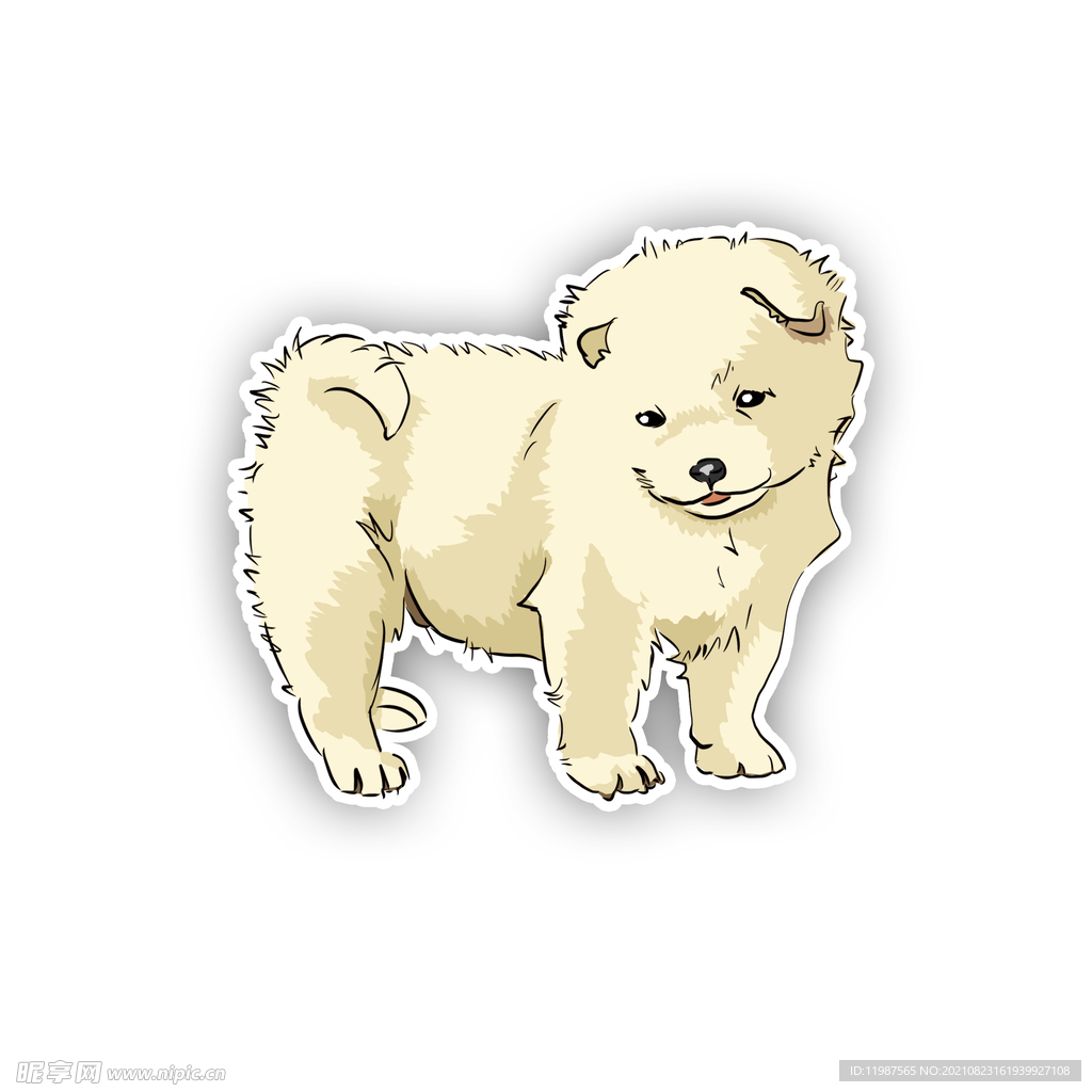 宠物狗小狗比熊犬萌宠狗狗可爱