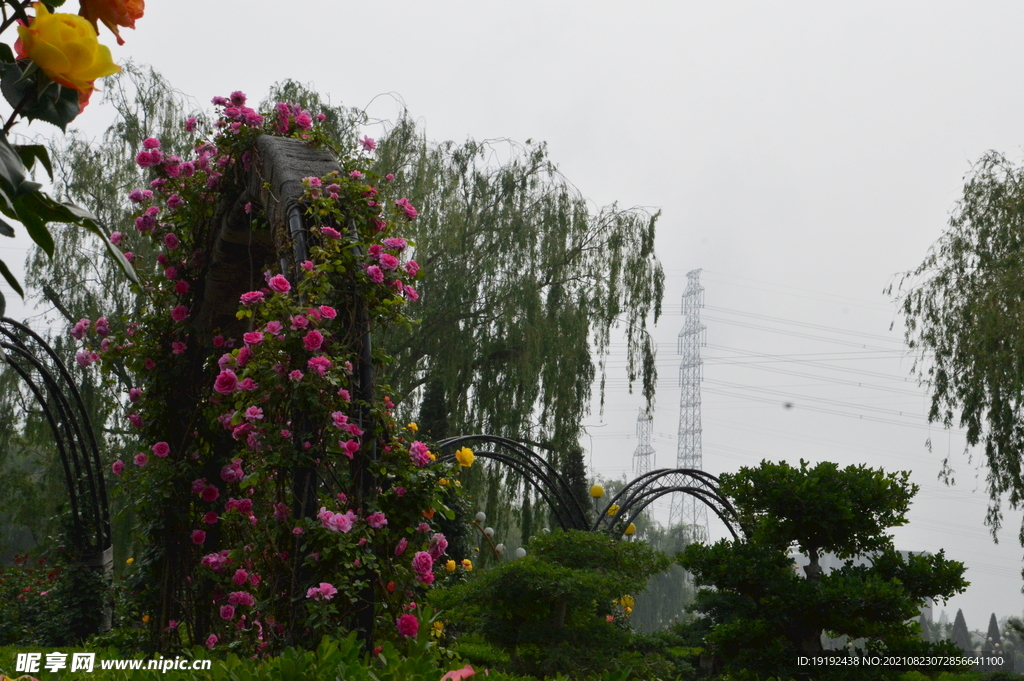 园林风景 