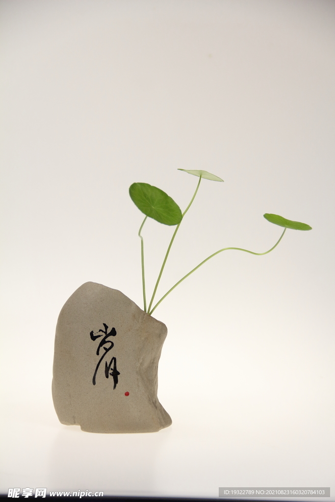 绿植摆件