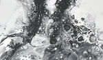 活体细胞系列