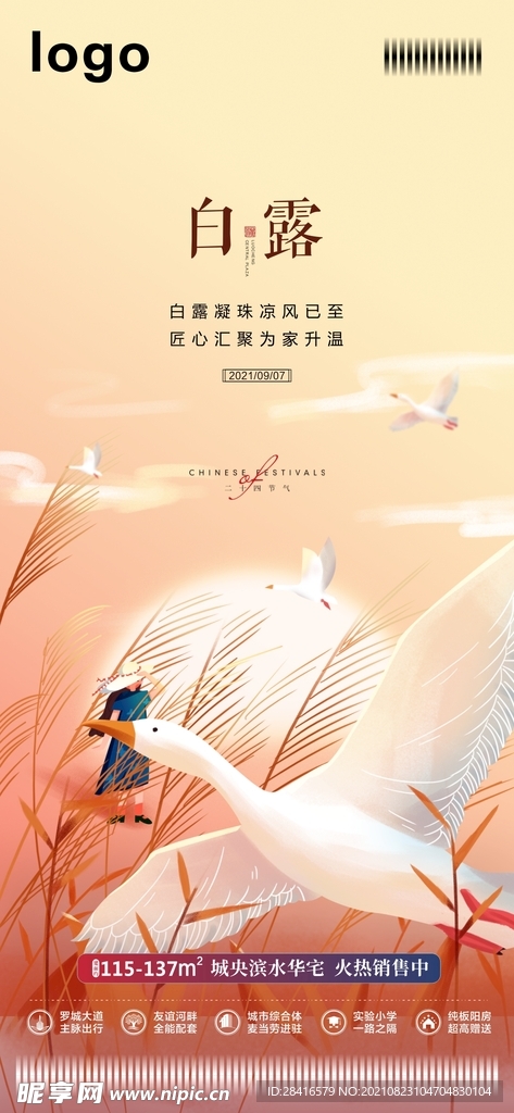 白露微信