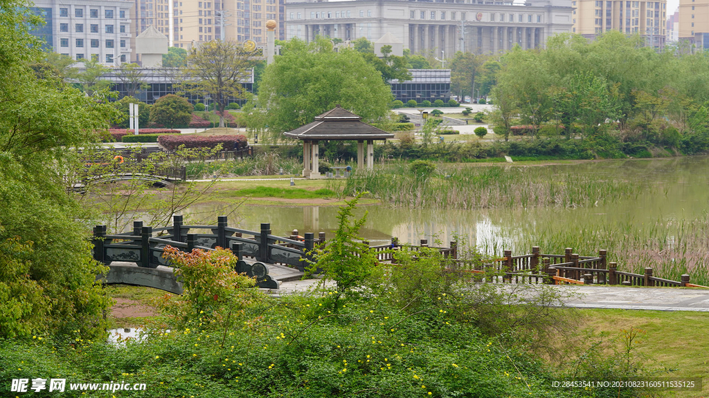 风景