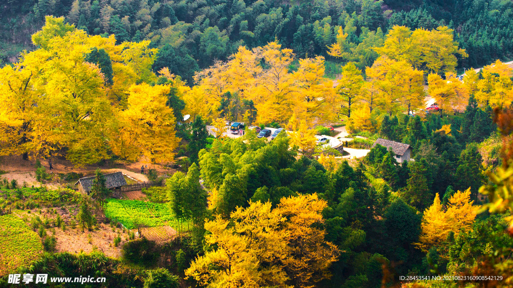 风景