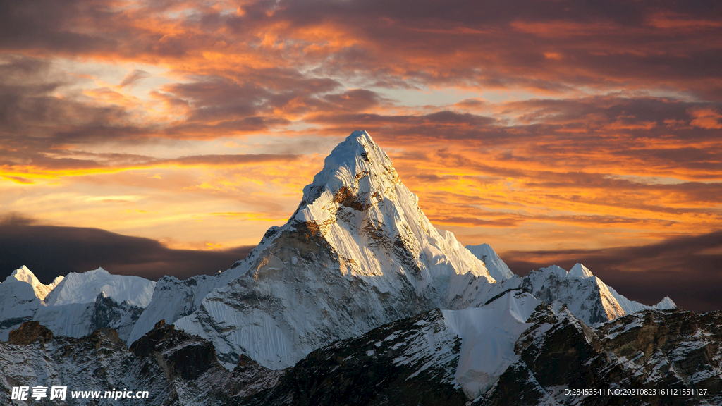 风景