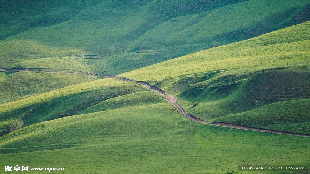风景