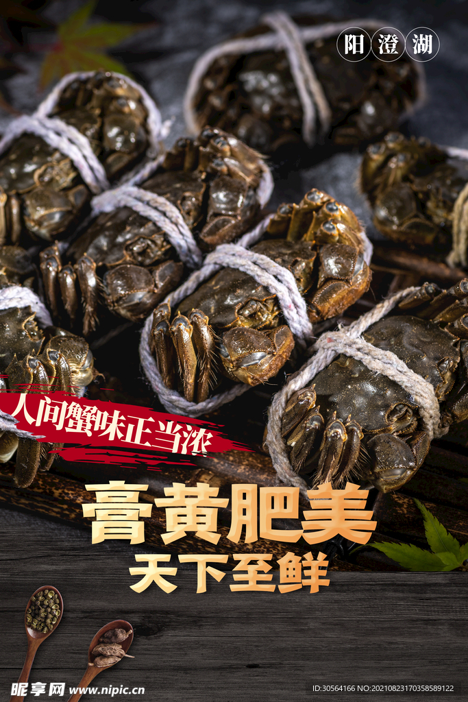 大闸蟹美食