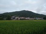 田园风光