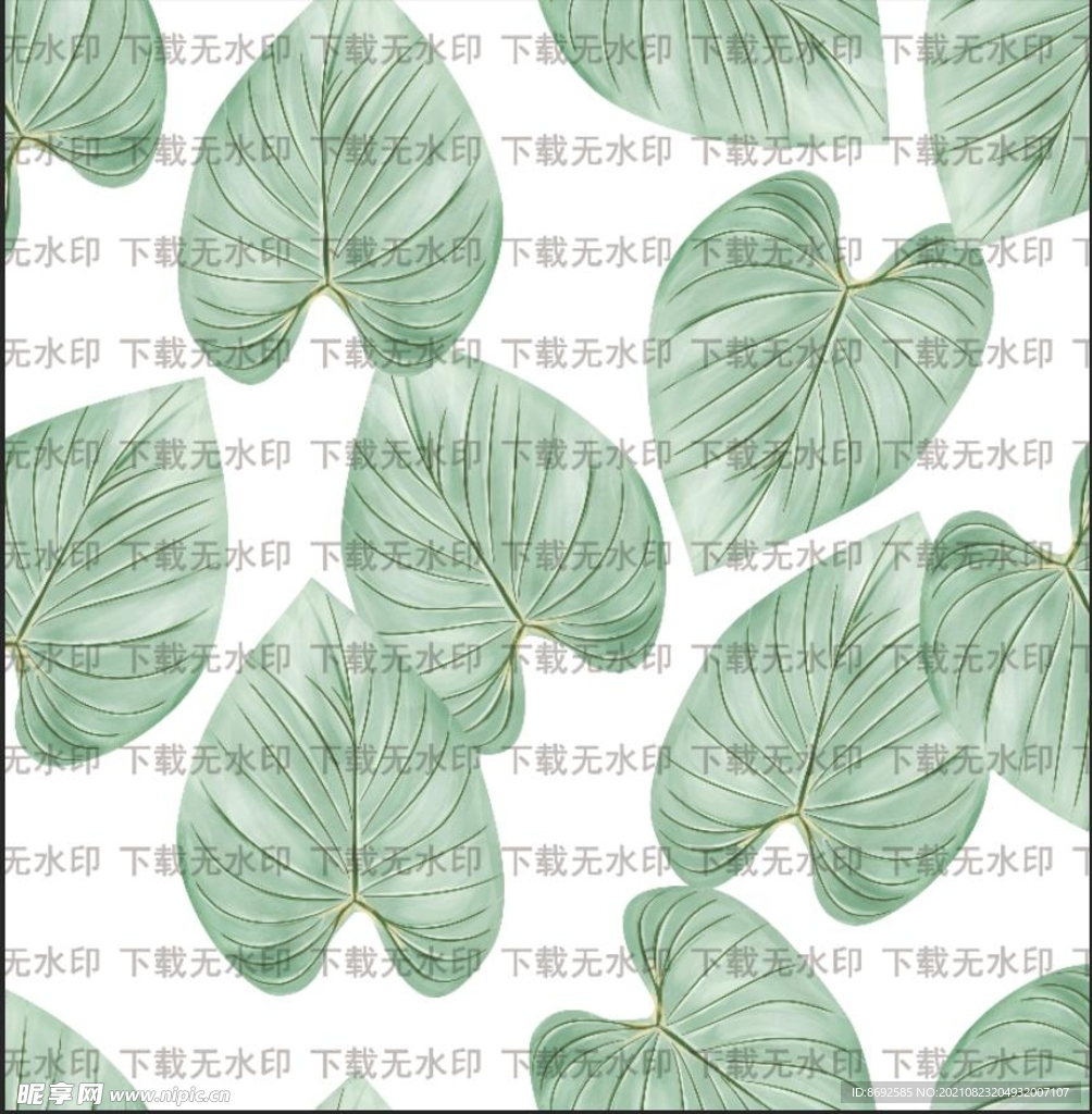 大尺寸热带叶子