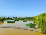 美丽的河道风景