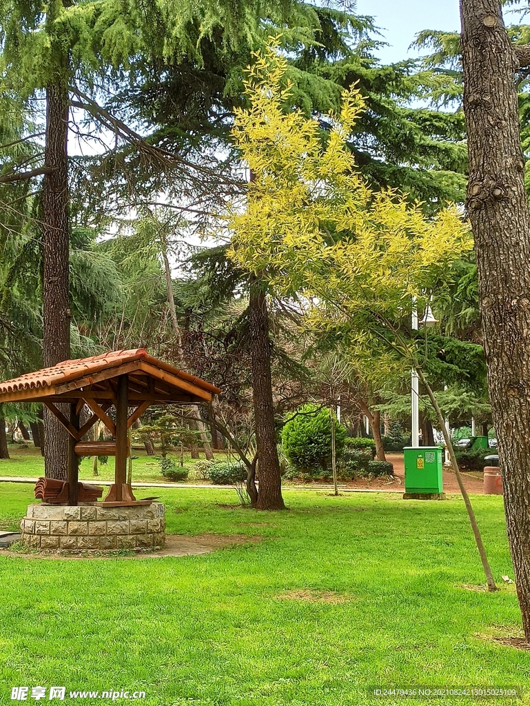 美丽风景风光 