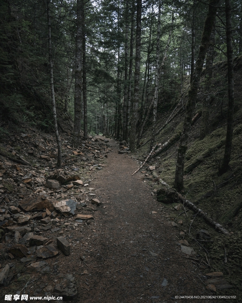 美丽风景风光 