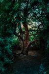 美丽风景风光 