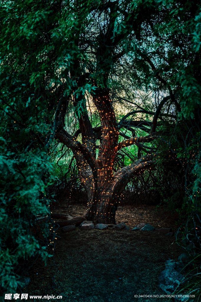 美丽风景风光 