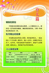 育儿篇