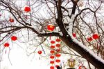 雪景灯笼照片