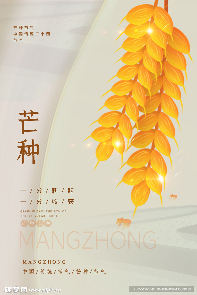 芒种