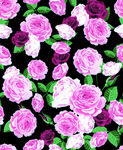 玫瑰花  扫描 花型 数码印花