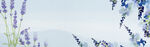 BANNER背景