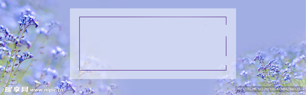 BANNER背景