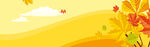 BANNER背景